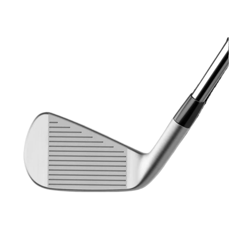 TaylorMade Golf P790 Iron Sets image 2