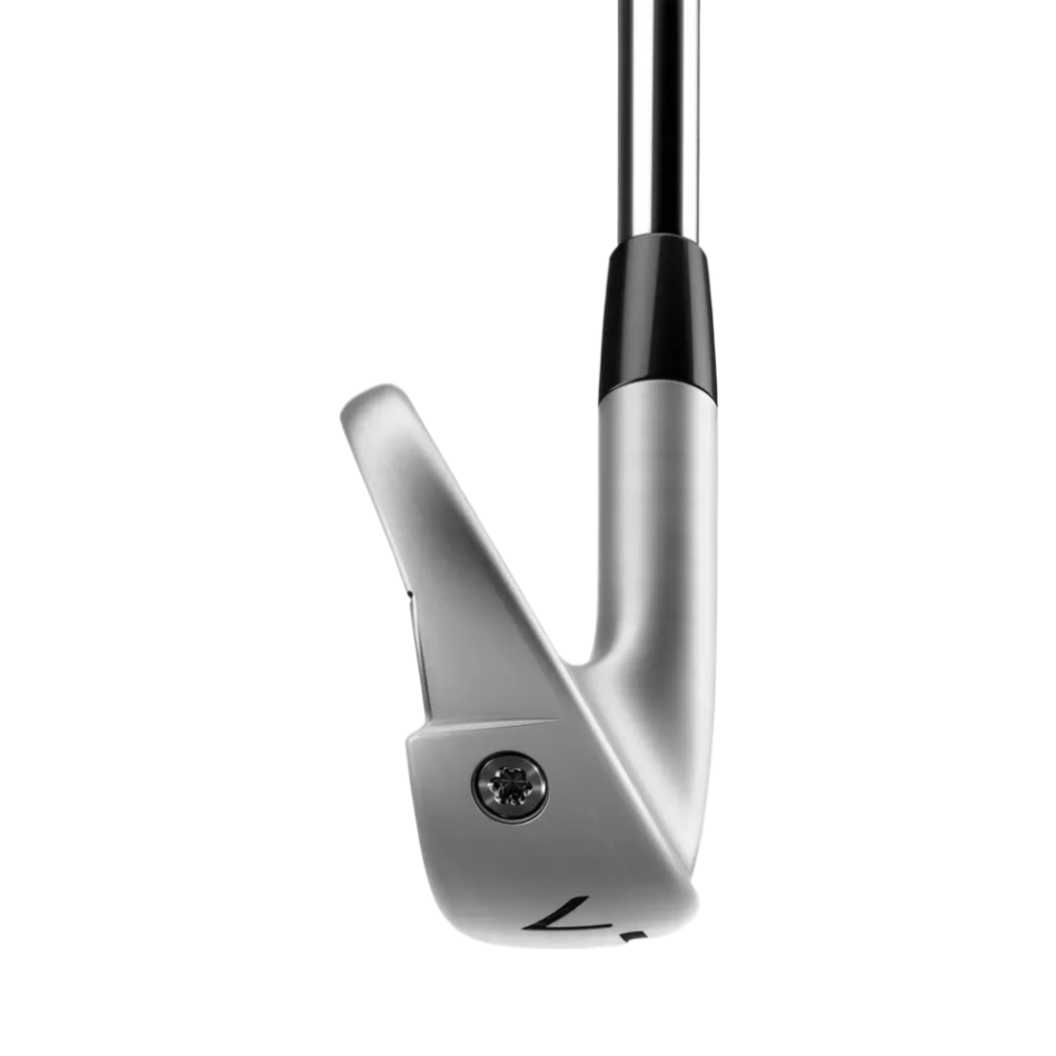TaylorMade Golf P790 Iron Sets image 3