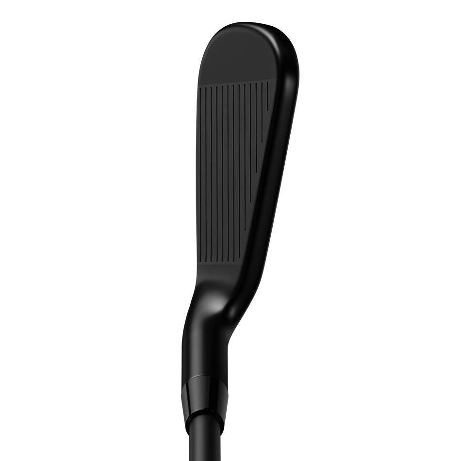 Apex 16 Black Irons image 2