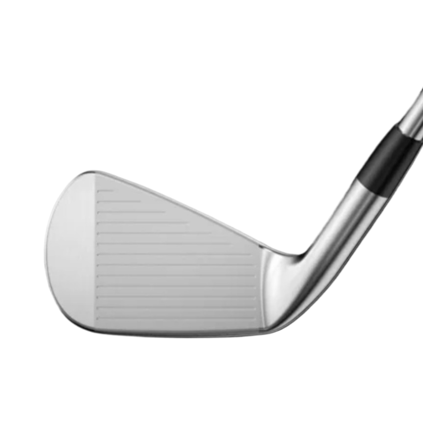 Mizuno Pro 225 Irons image 2