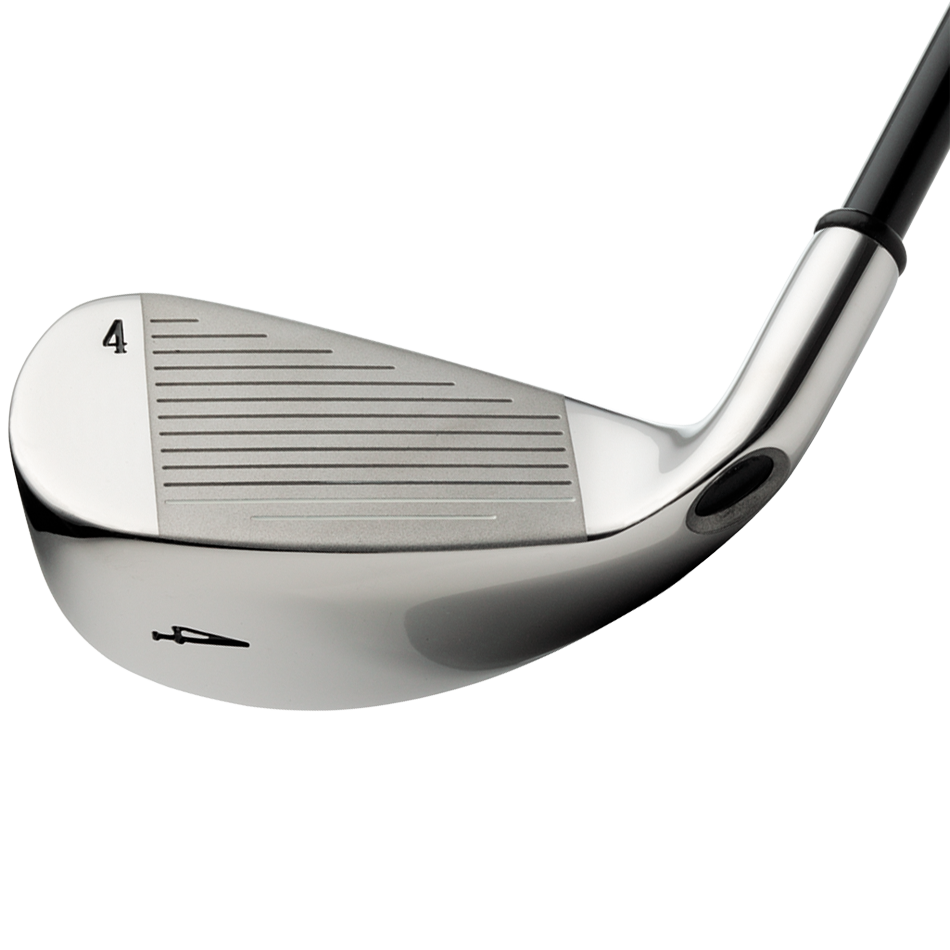 Big Bertha Irons (2008) image 4