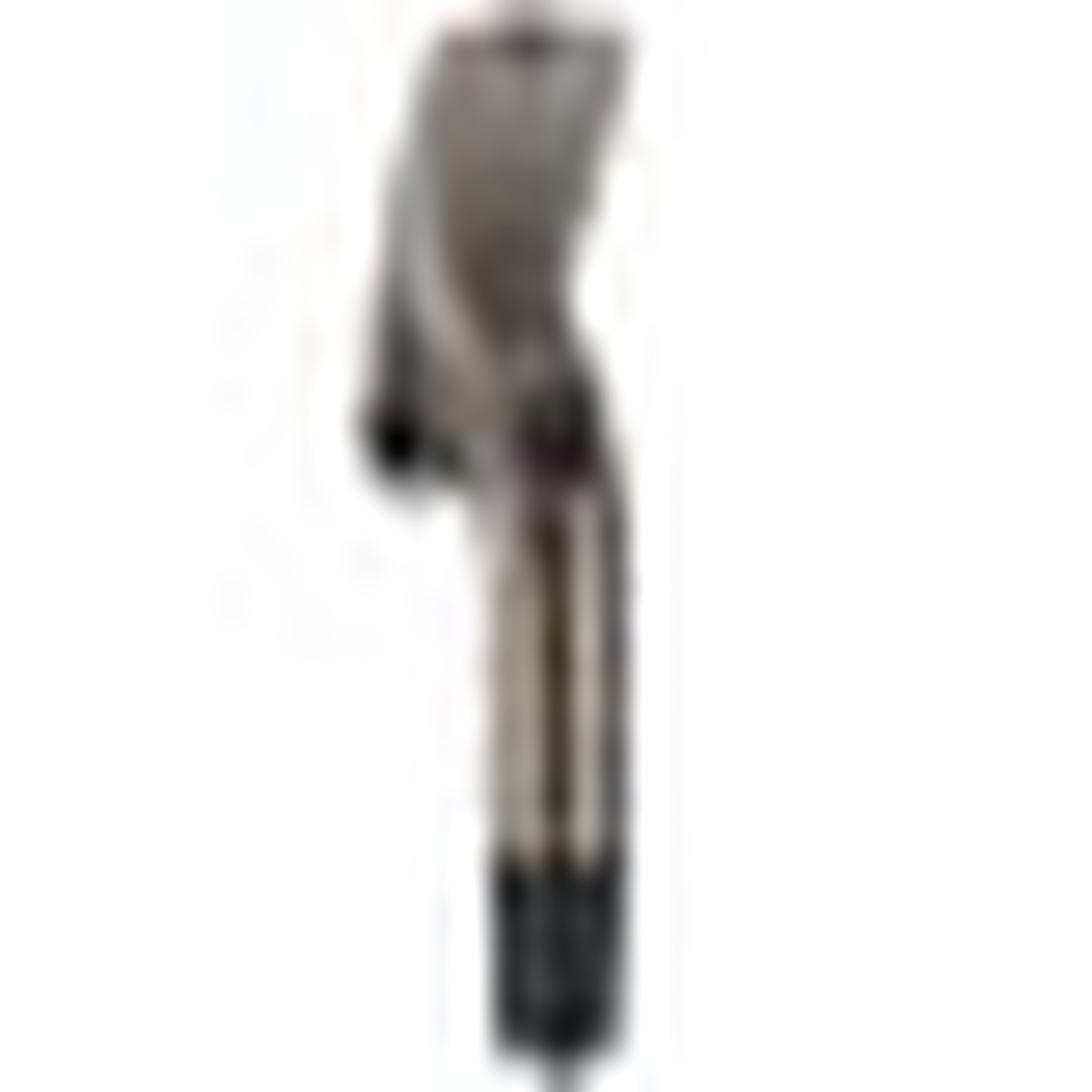 X-24 Hot Irons image 18