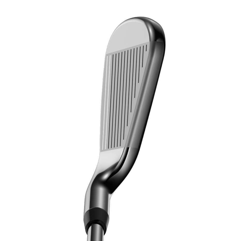 Rogue Irons image 3
