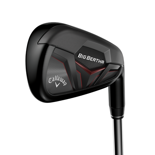 Big Bertha Irons - View 1