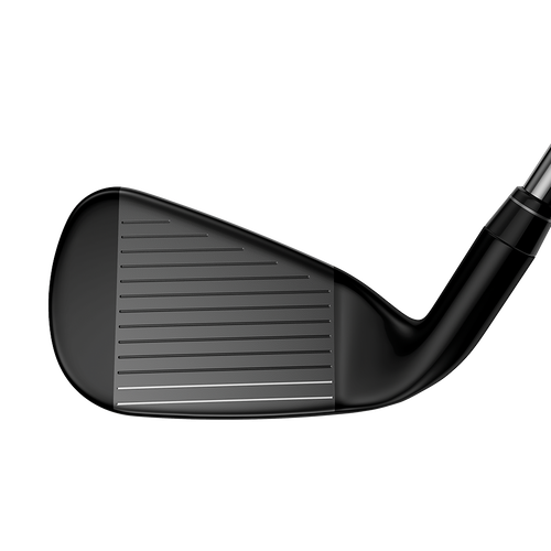 Big Bertha Irons - View 4