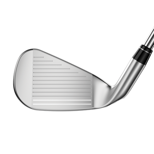 Big Bertha B21 Irons - View 3