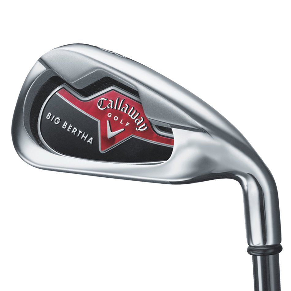Big Bertha Irons (2006) image 2