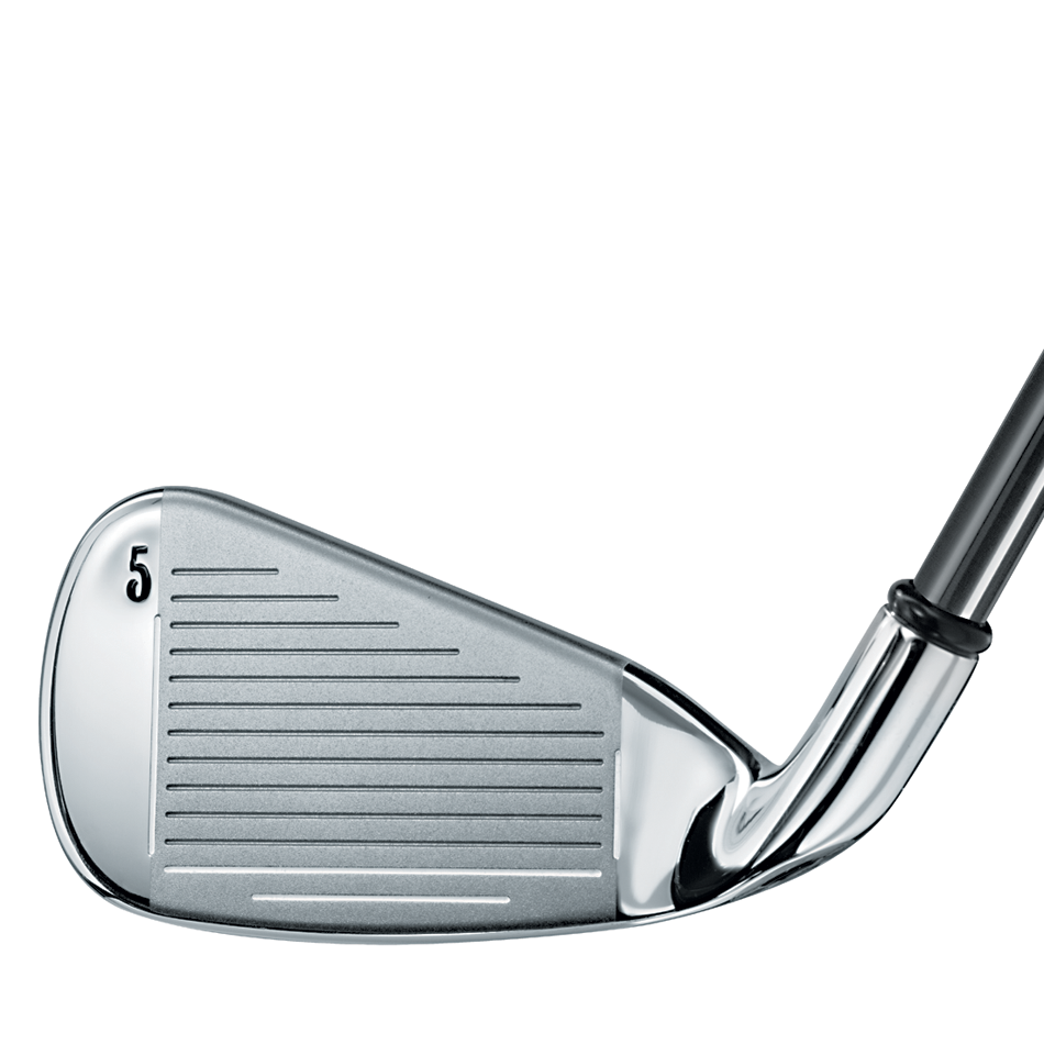 Big Bertha Irons (2006) image 3