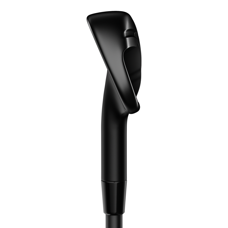 Apex 16 Black Irons image 4