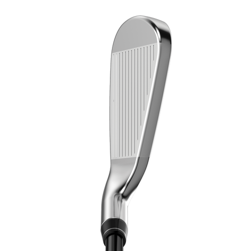 Great Big Bertha Irons - View 2