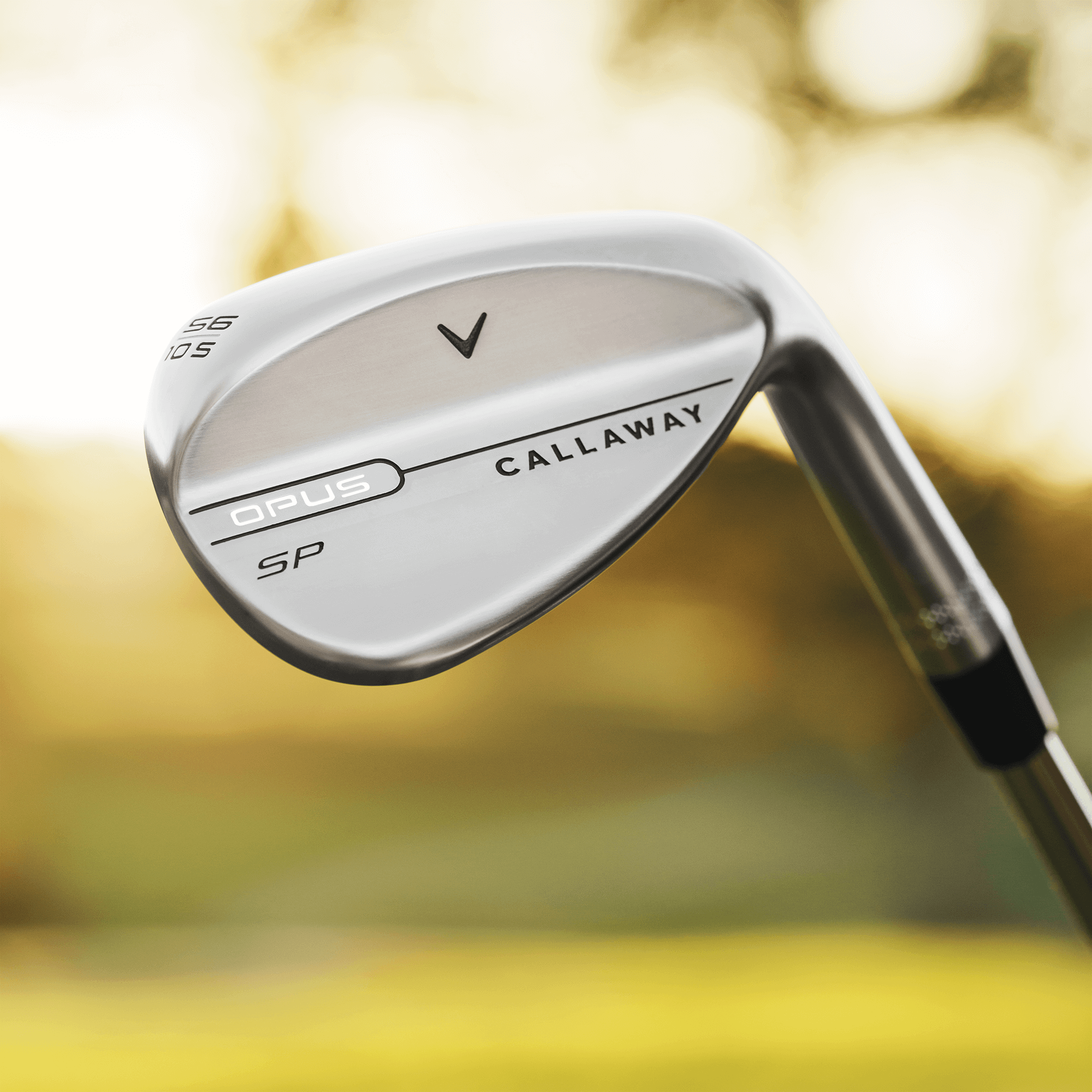 Opus SP Chrome Wedge image 2