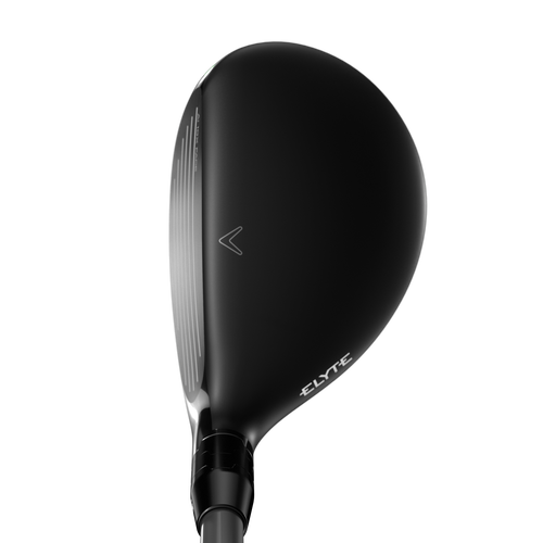 Elyte Hybrids - View 2