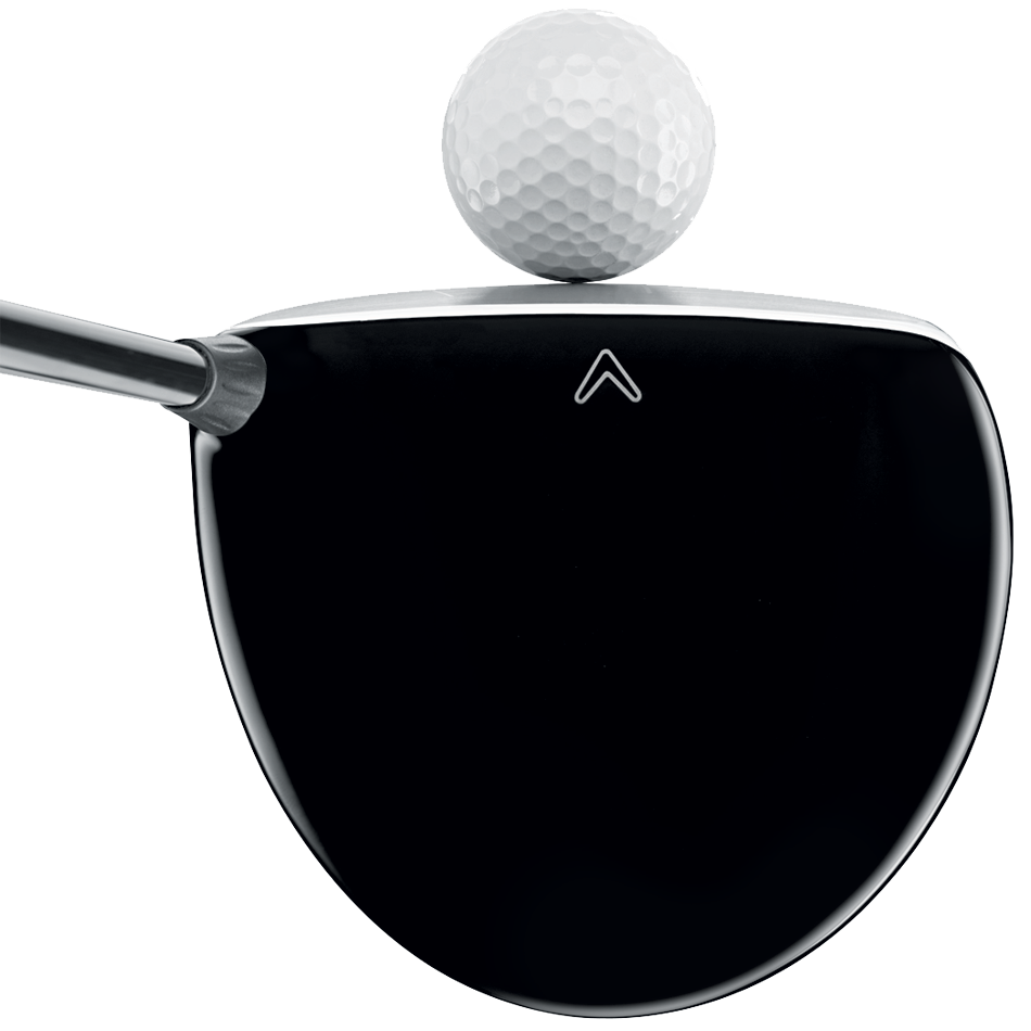Big Bertha 460 Drivers image 5
