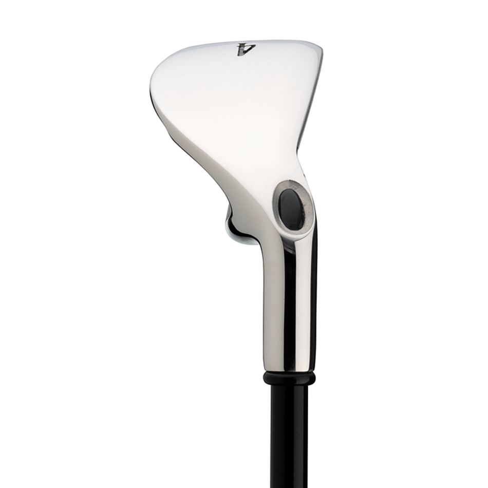 Big Bertha Irons (2008) image 5