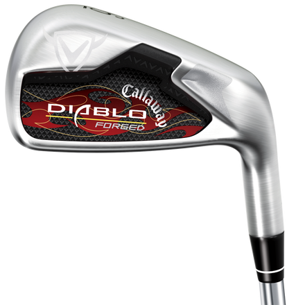 Diablo Forged Irons image 2