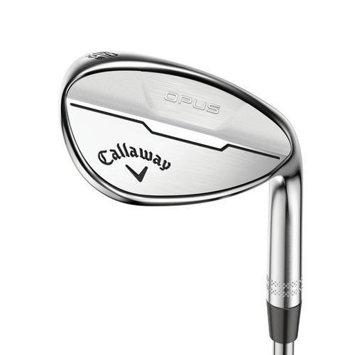 Women's Opus Brushed Chrome Wedges - View 1