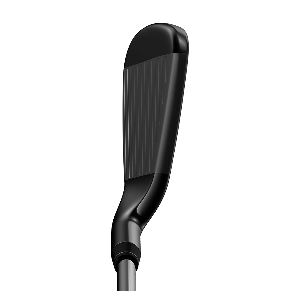 Big Bertha Irons image 3