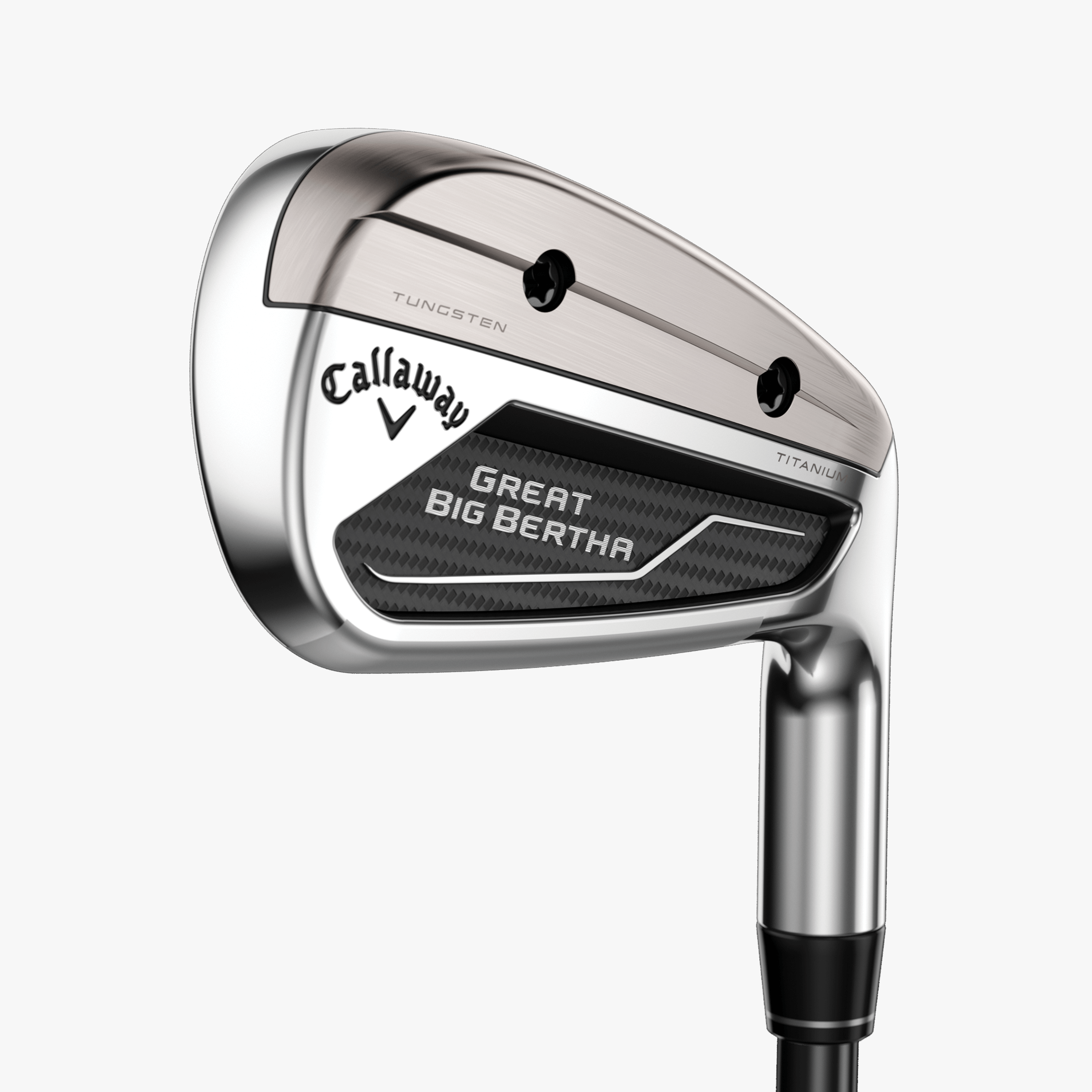 Great Big Bertha Irons Great Big Bertha Irons