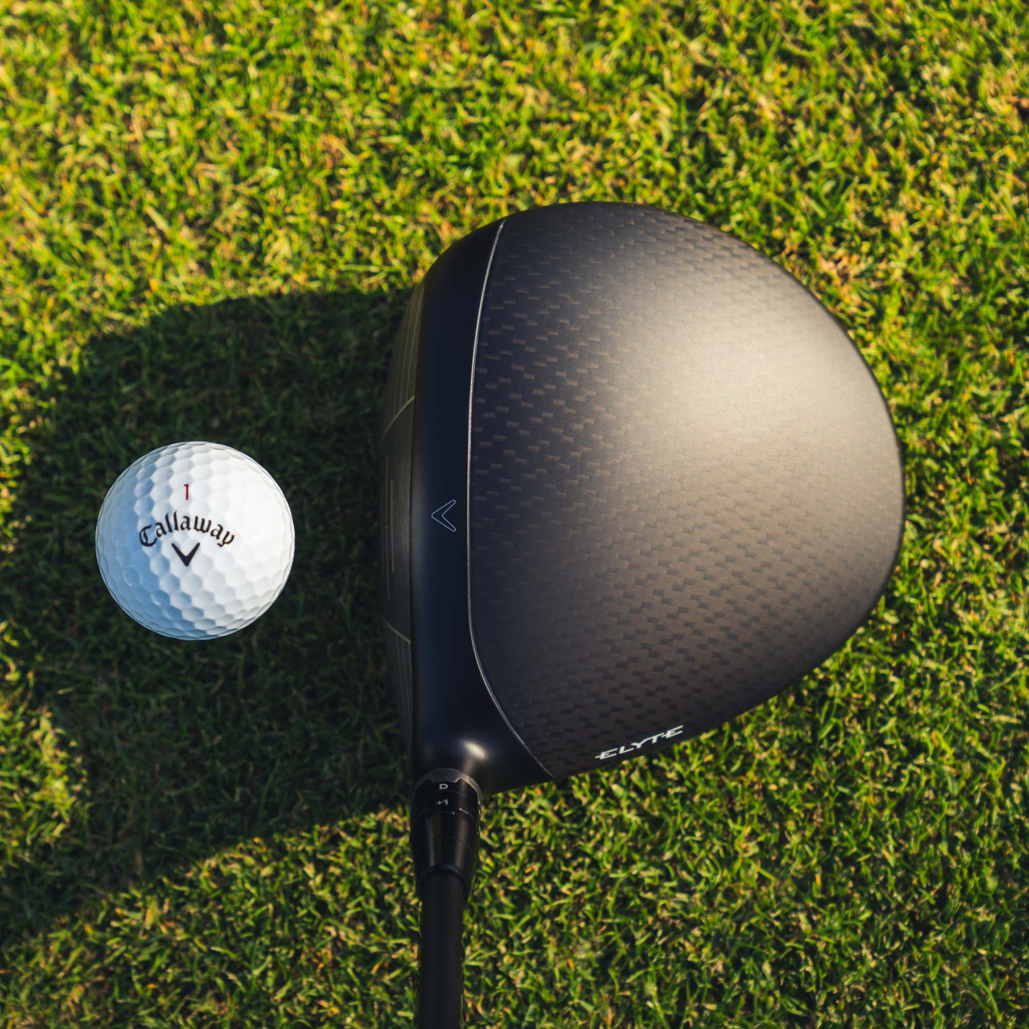 Elyte Max Fast Driver image 11