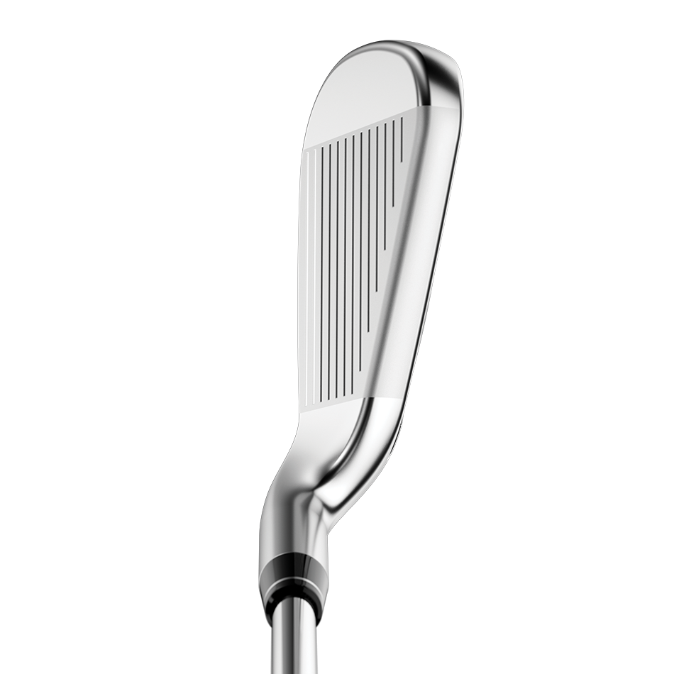 Big Bertha B21 Irons image 2
