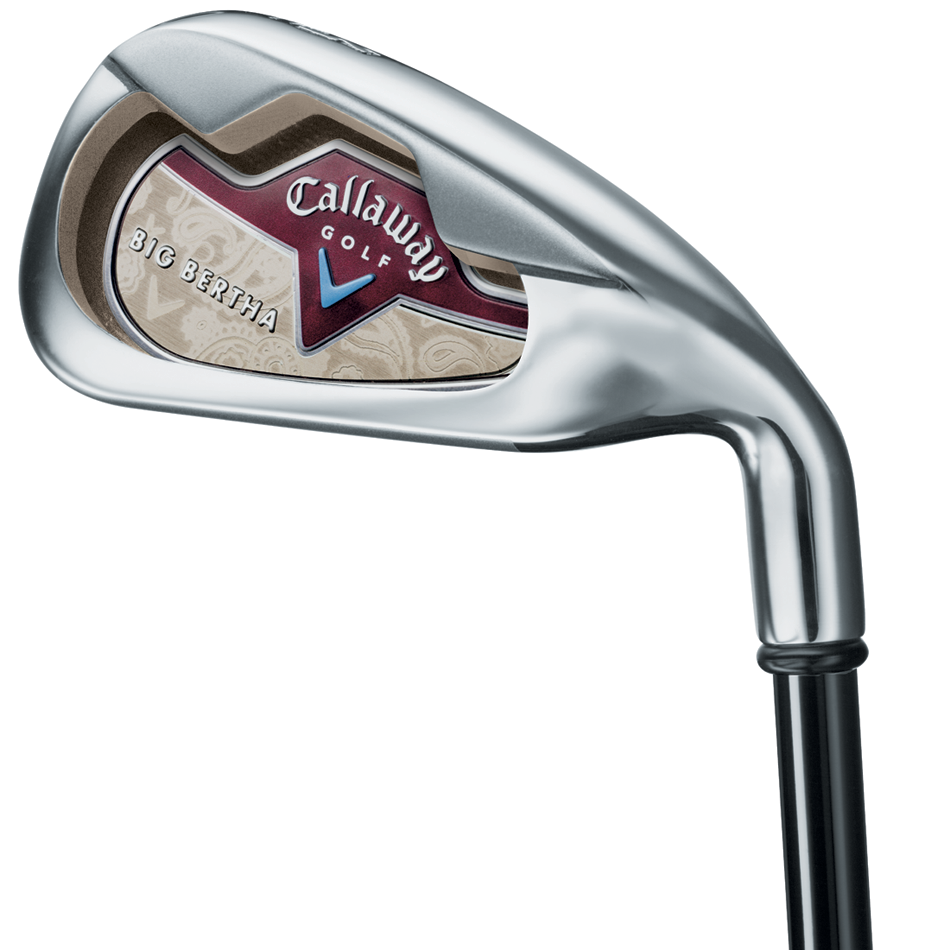 Big Bertha Irons (2006) image 4