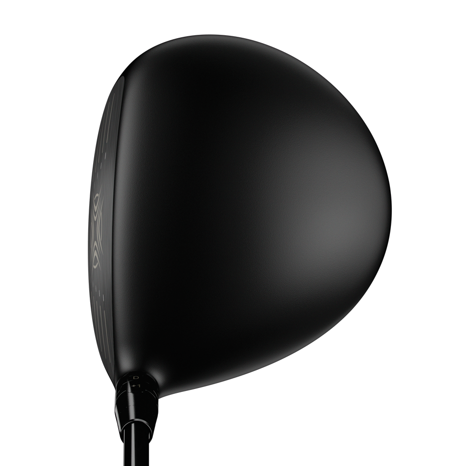 Big Bertha Alpha 816 Double Black Diamond Driver image 4