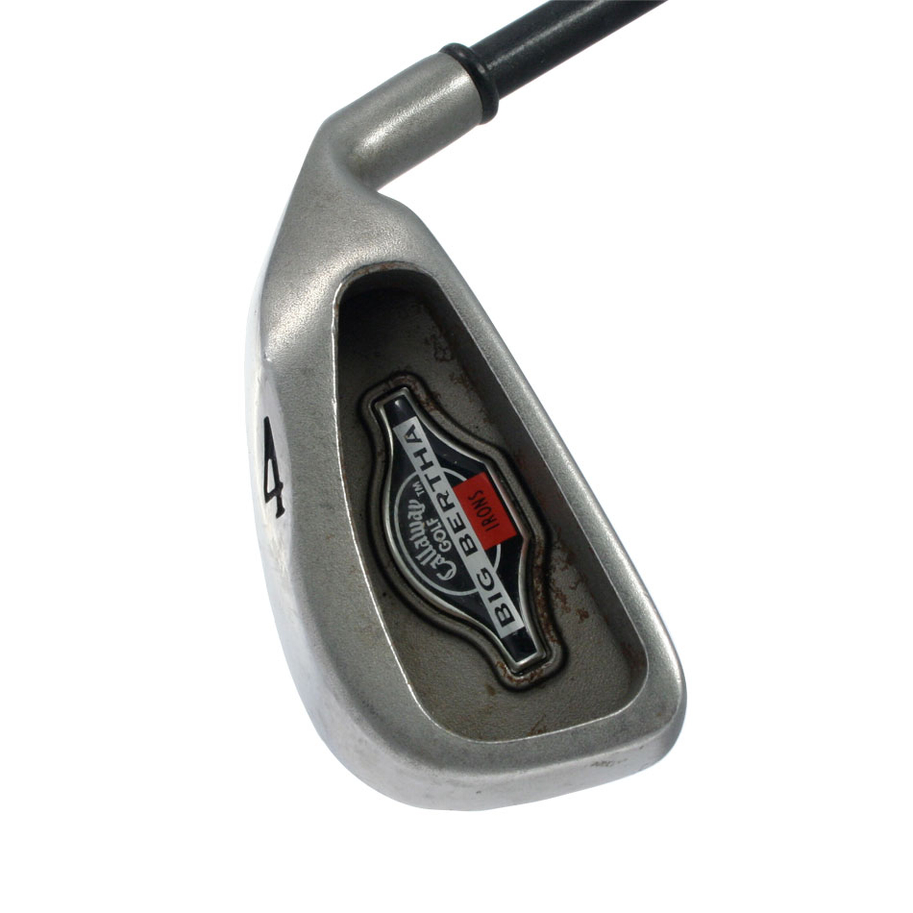 Big Bertha Irons (1996) image 5