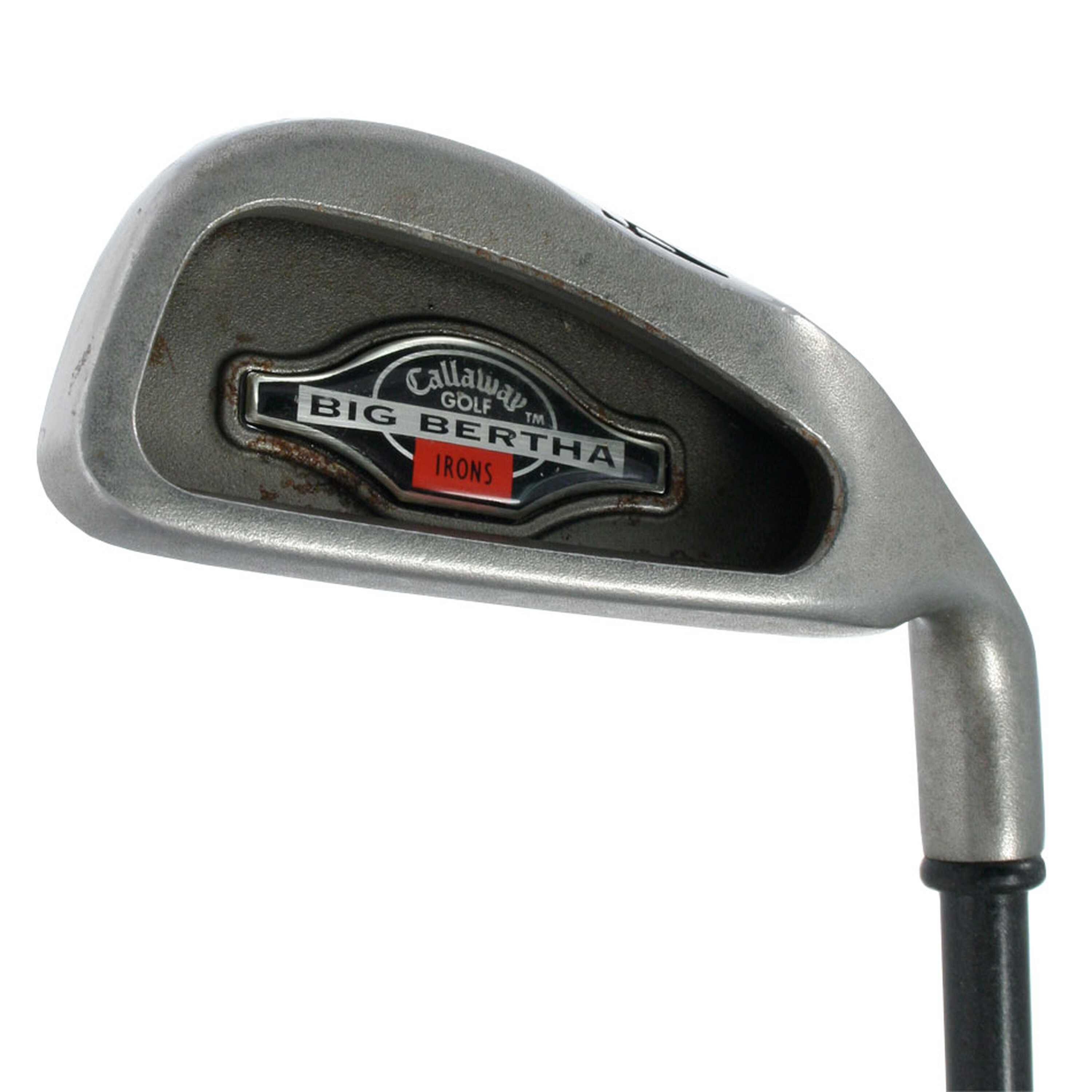 Big Bertha Irons (1996) image 6