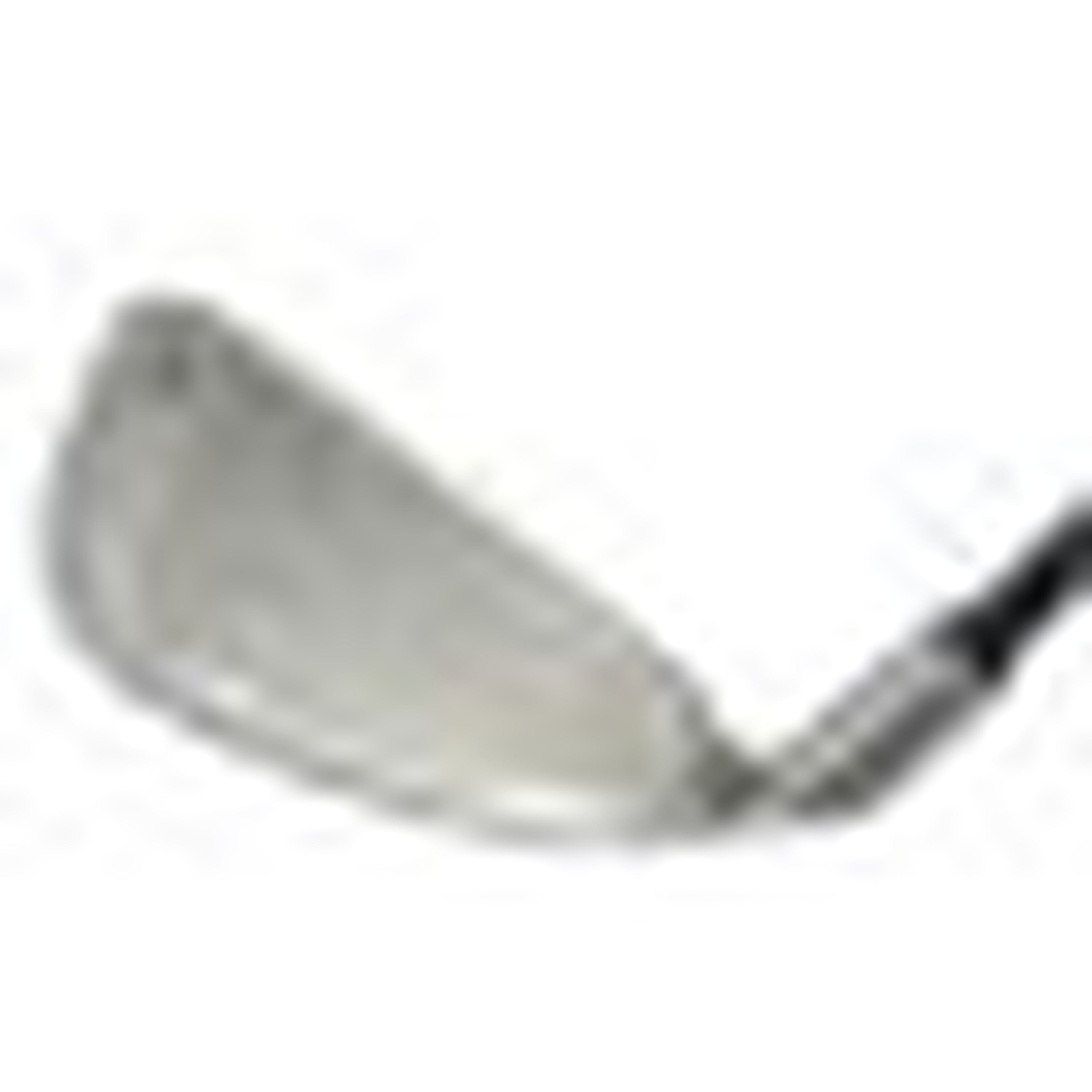 Big Bertha Irons (1996) image 17