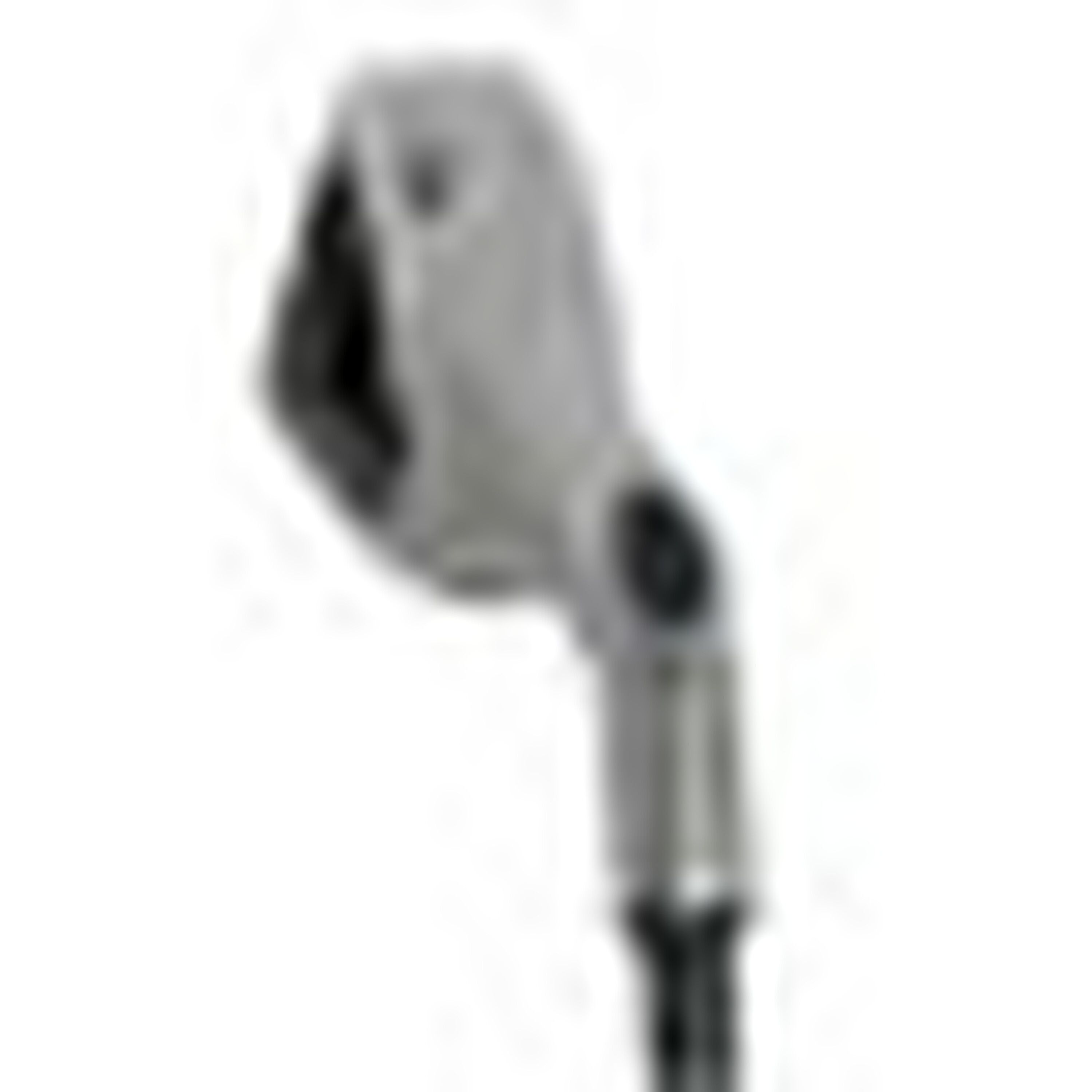 Big Bertha Irons (1996) image 18