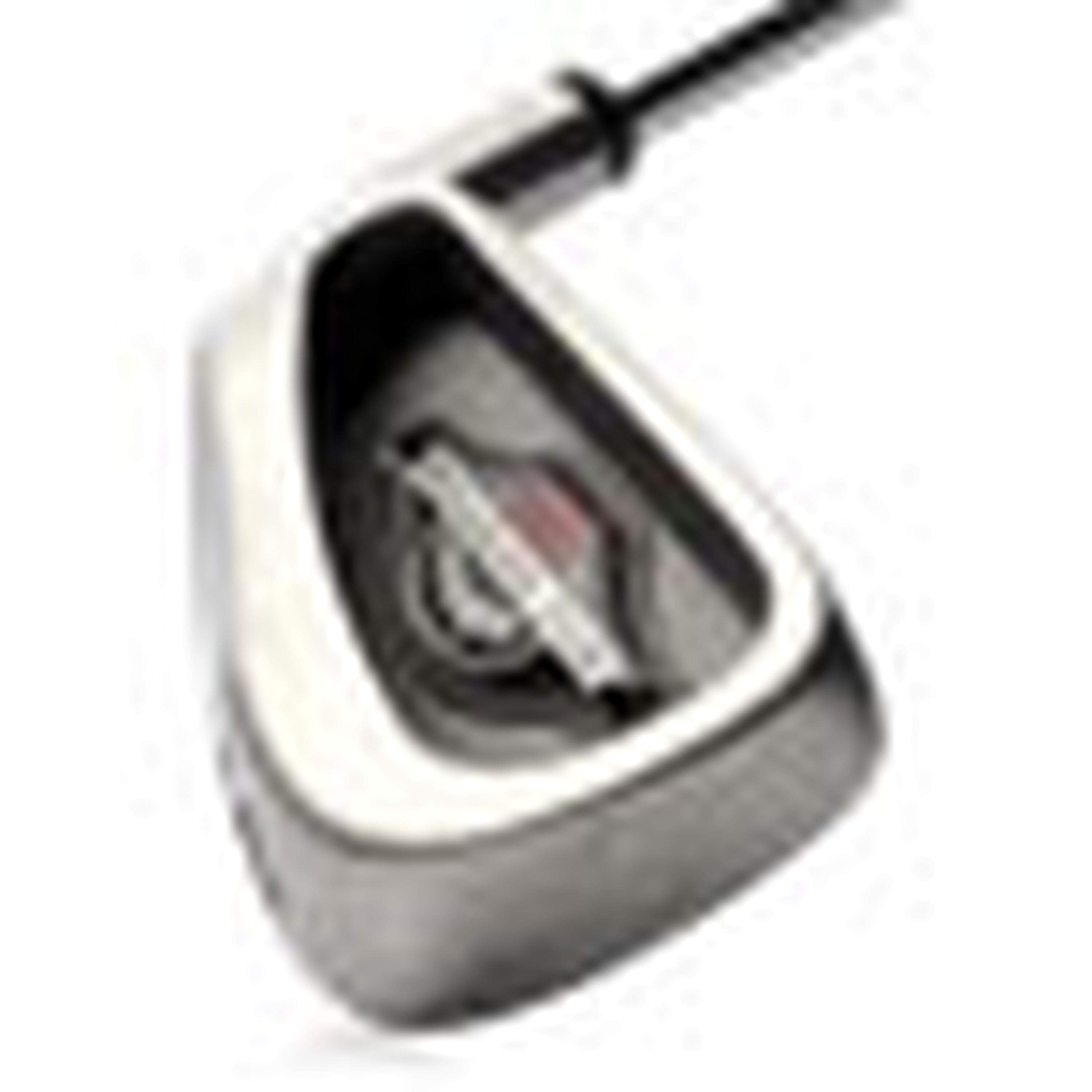 Big Bertha Irons (1994) image 14