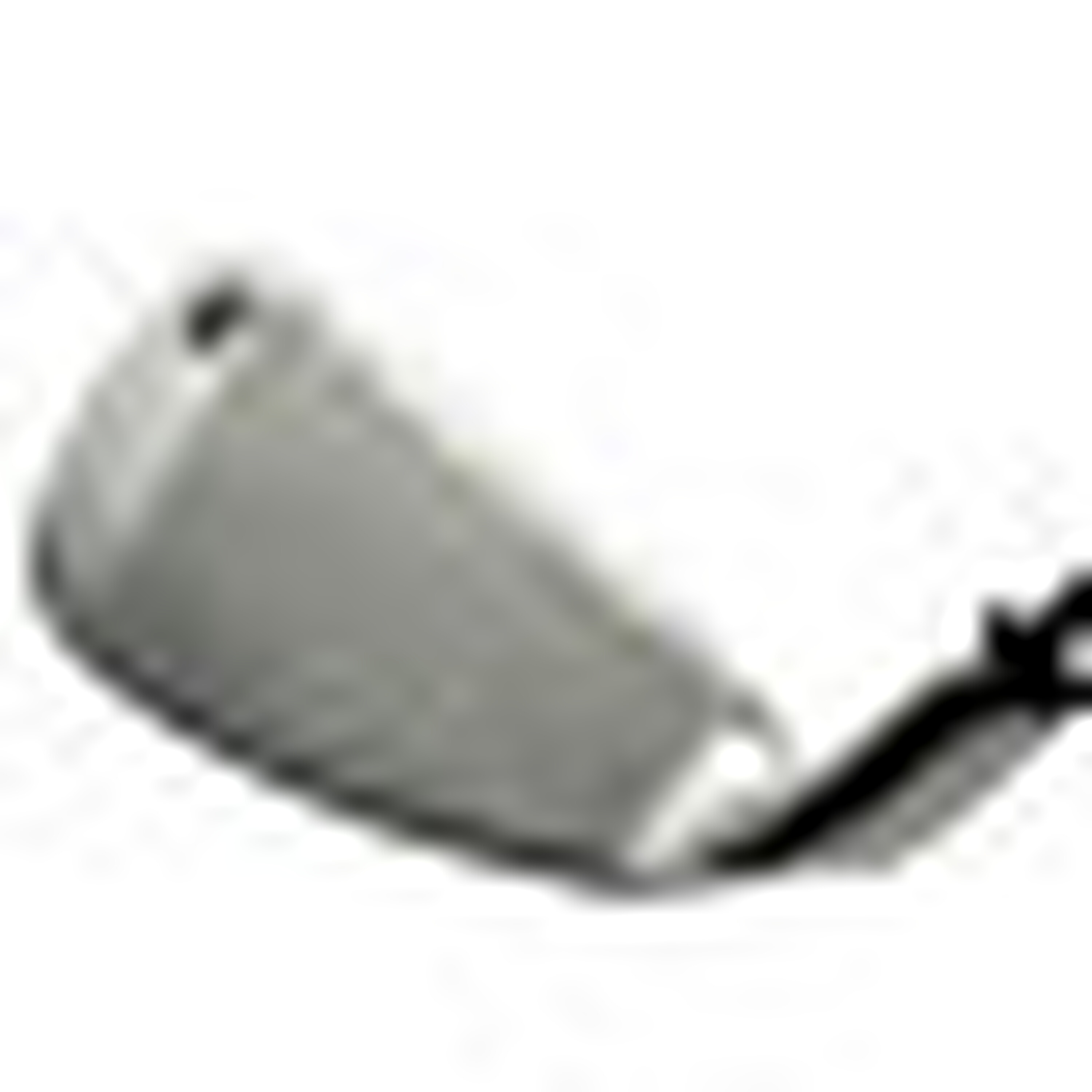 Big Bertha Irons (1994) image 16