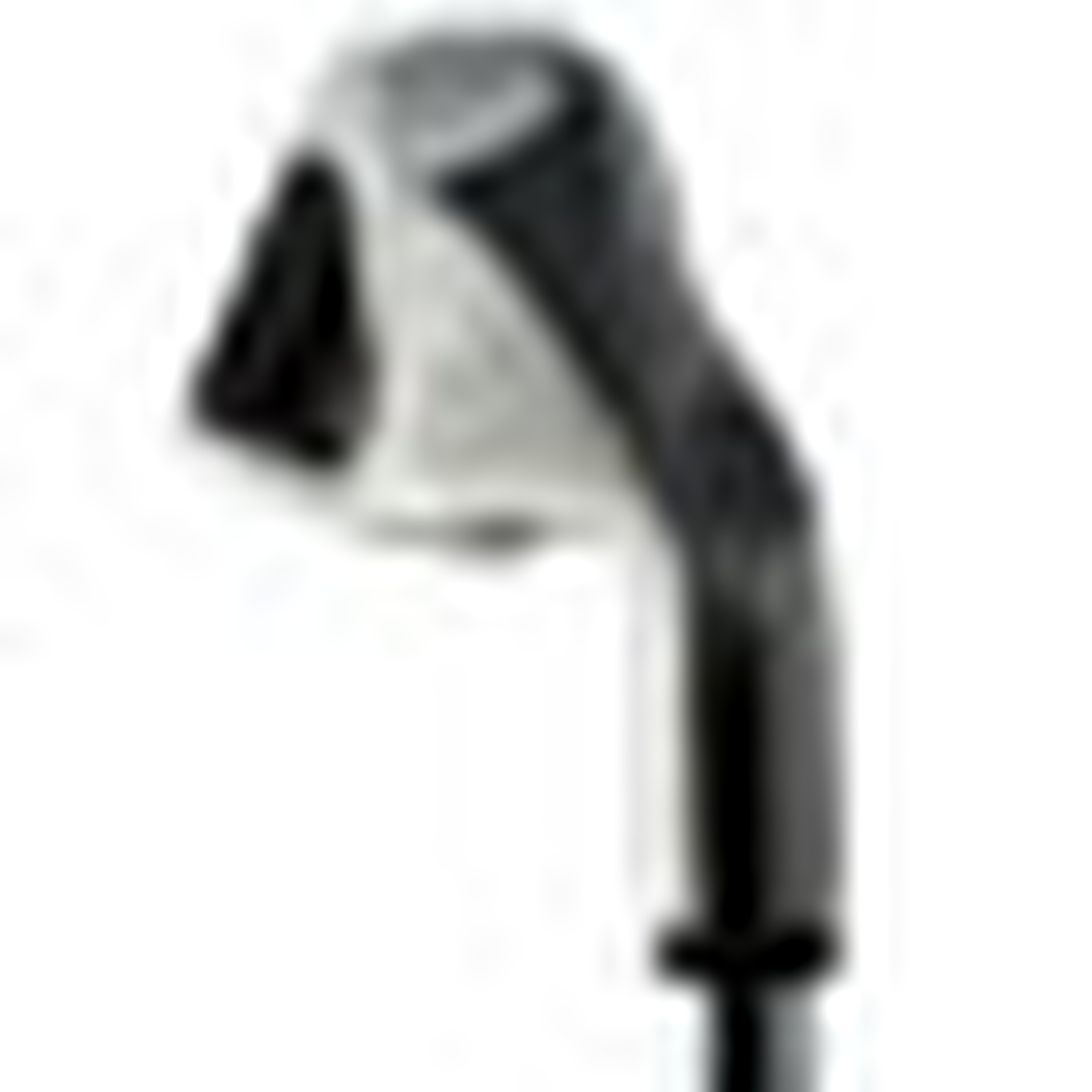 Big Bertha Irons (1994) image 18