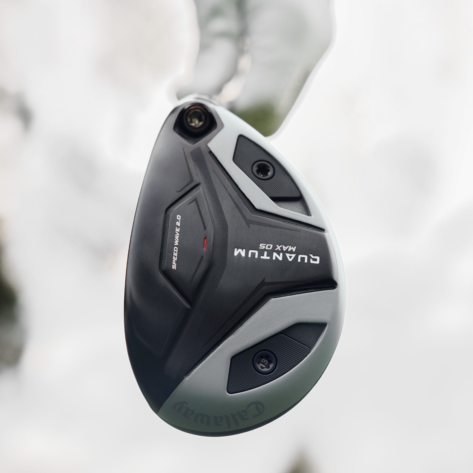 Quantum Max OS Hybrids image 2