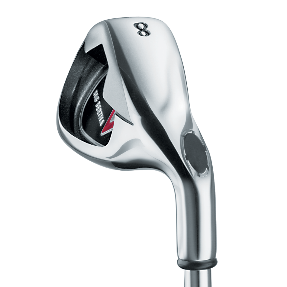 Big Bertha Irons (2006) image 5