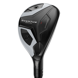 Quantum Max OS Hybrids
