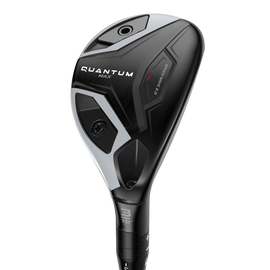 Quantum Max Hybrids