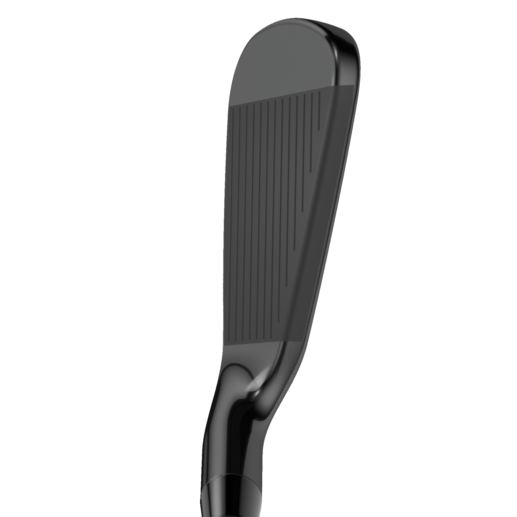 Apex 21 Black Irons image 2