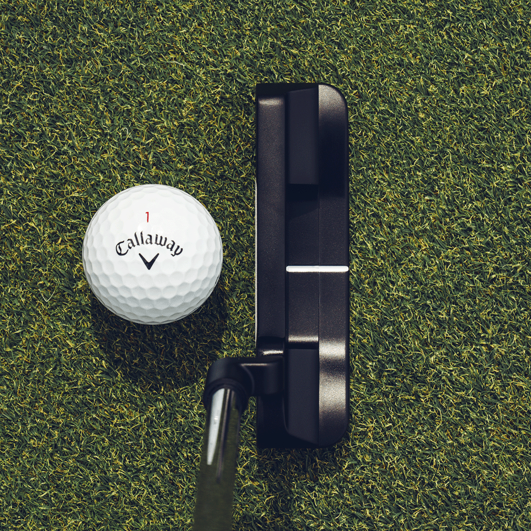 Ai-DUAL #1 Putter image 2