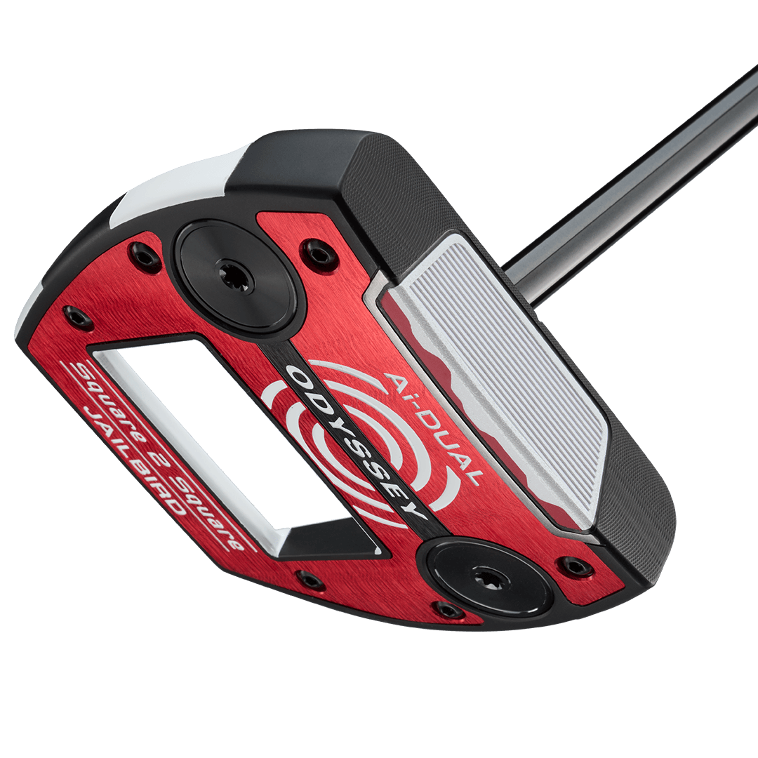 Ai-DUAL Square 2 Square Jailbird Center Shaft Putter image 4