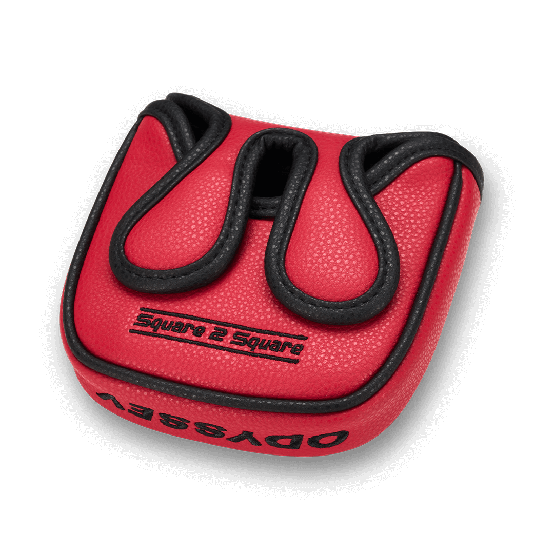 Ai-DUAL Square 2 Square Jailbird Center Shaft Putter image 7