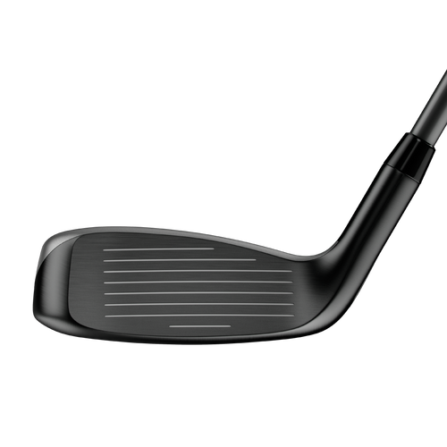 Apex Hybrids - View 4