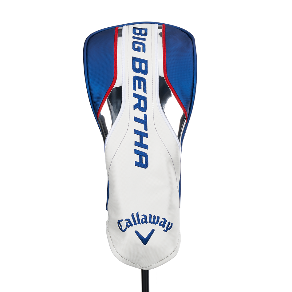 Big Bertha B21 Drivers image 6