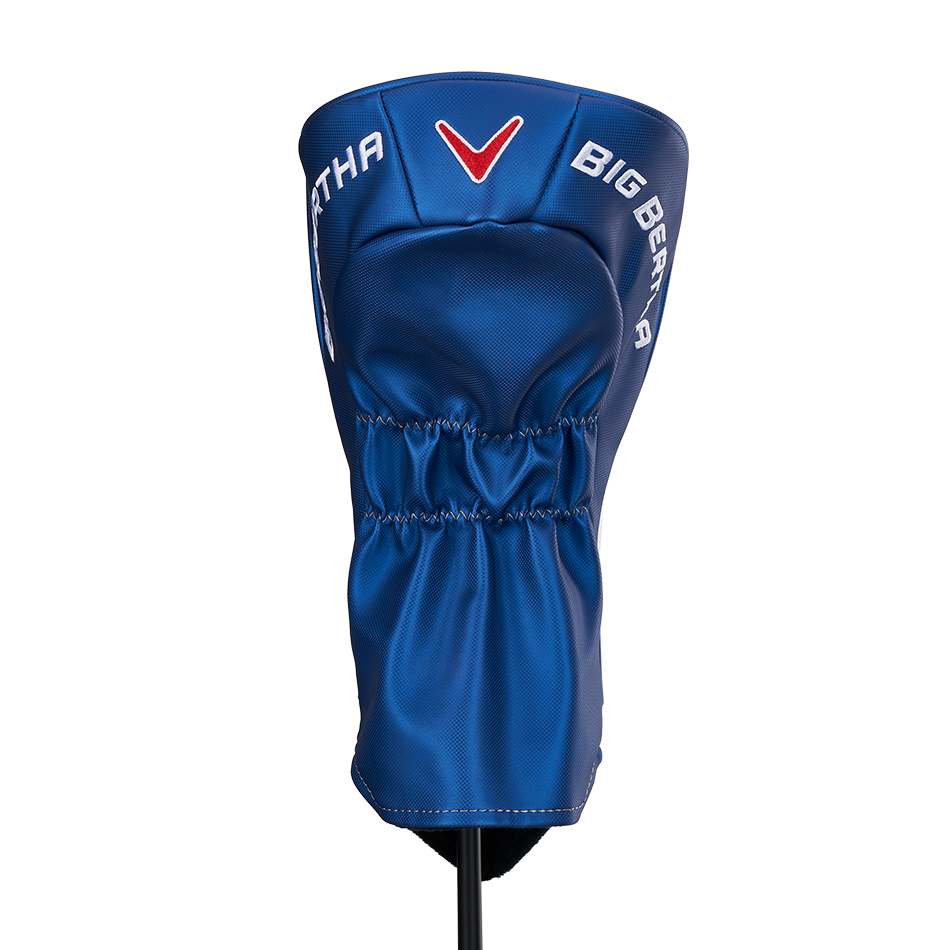 Big Bertha B21 Drivers image 7