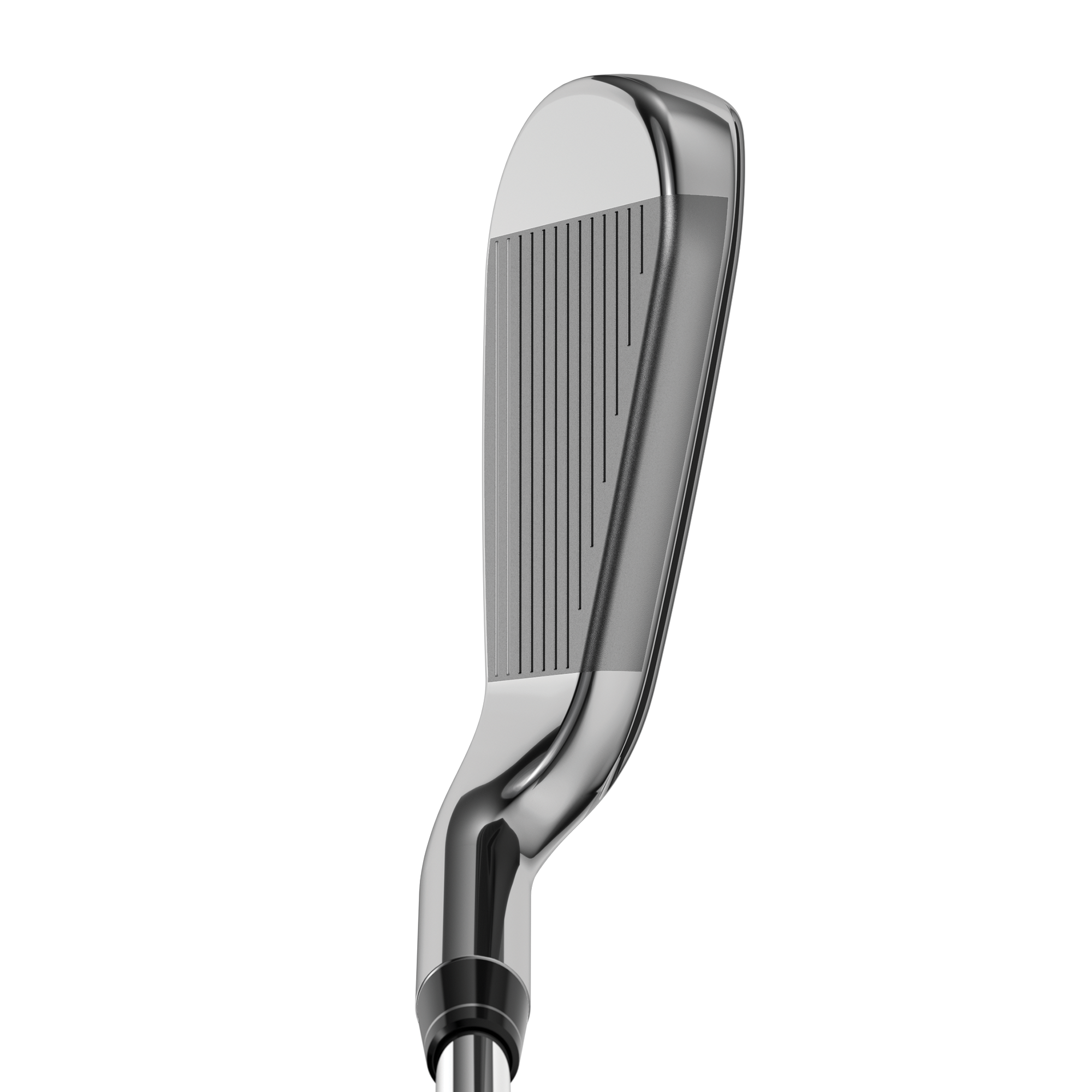Big Bertha Irons image 2