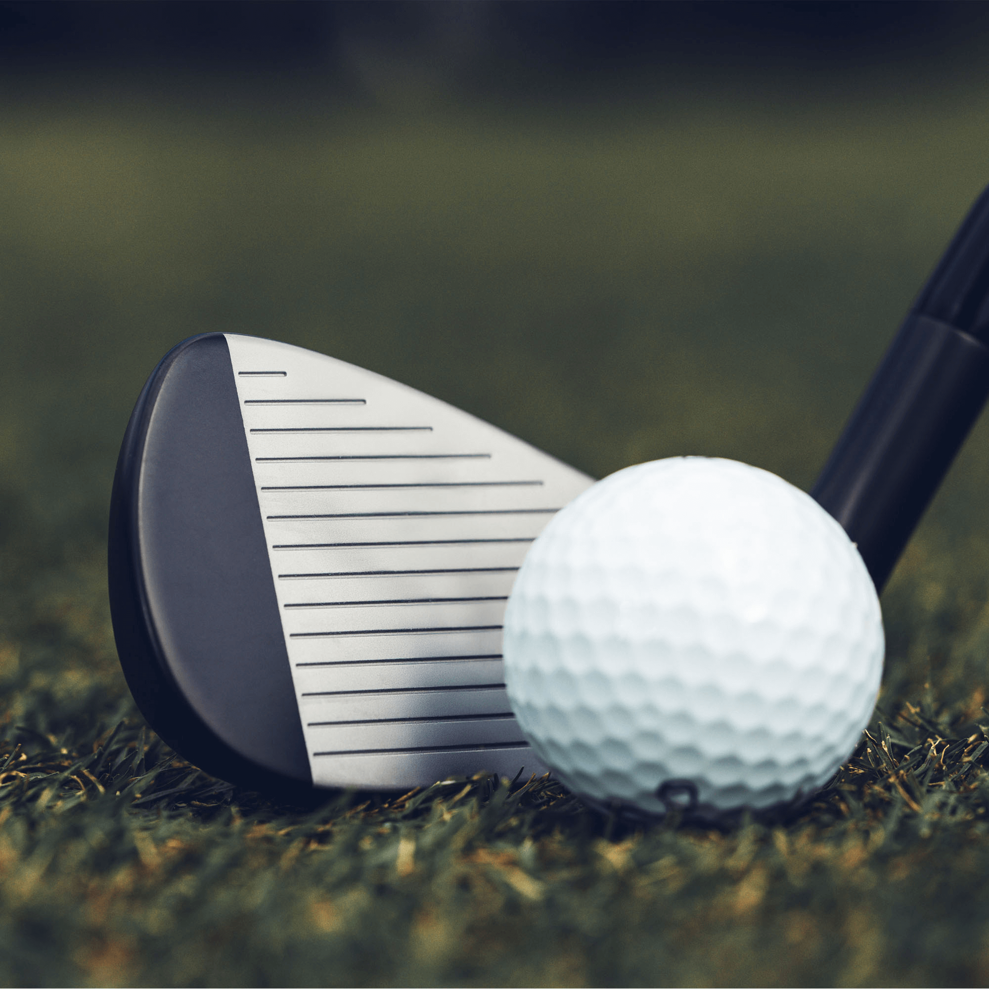 Apex Ai300 Black Shadow Irons image 3