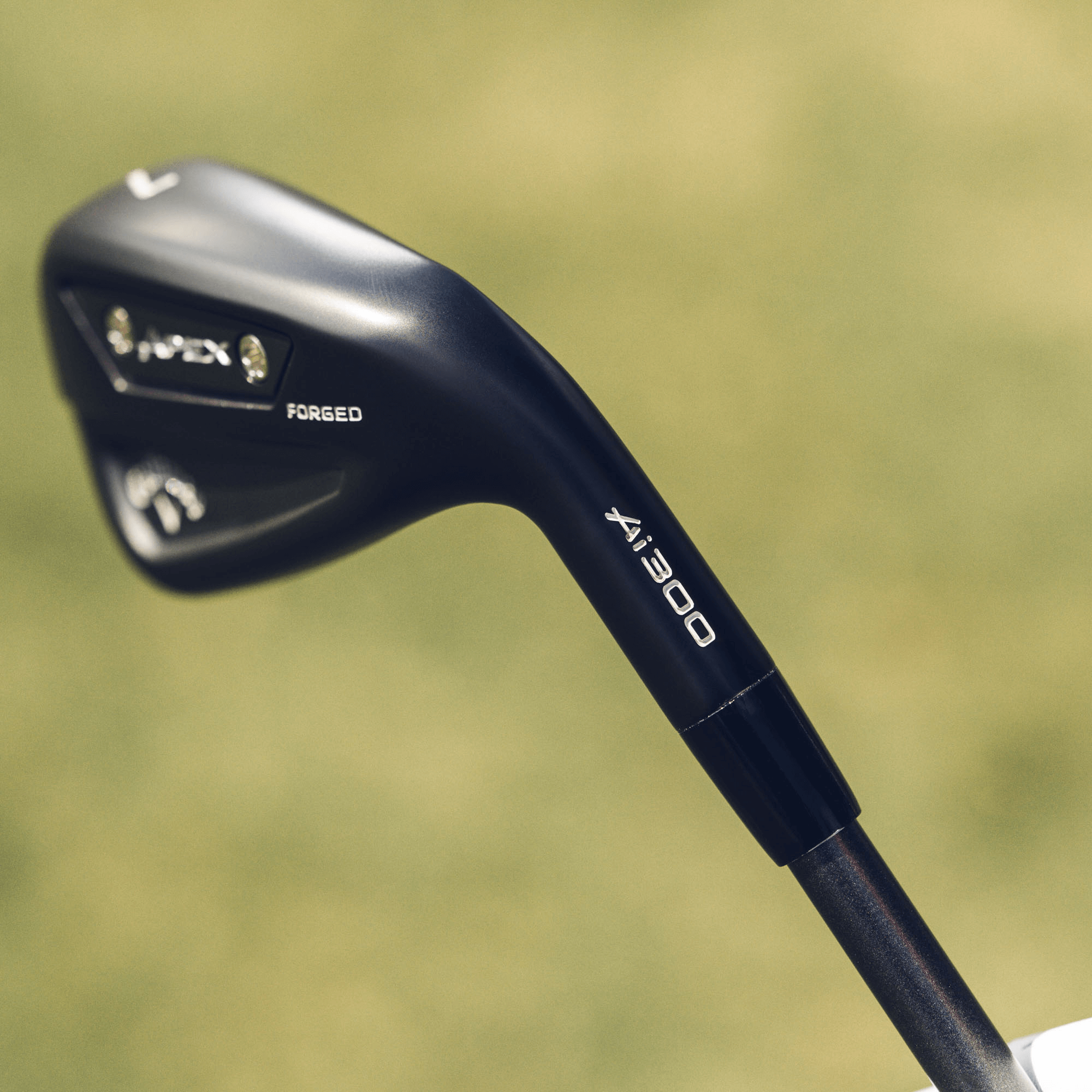 Apex Ai300 Black Shadow Irons image 4