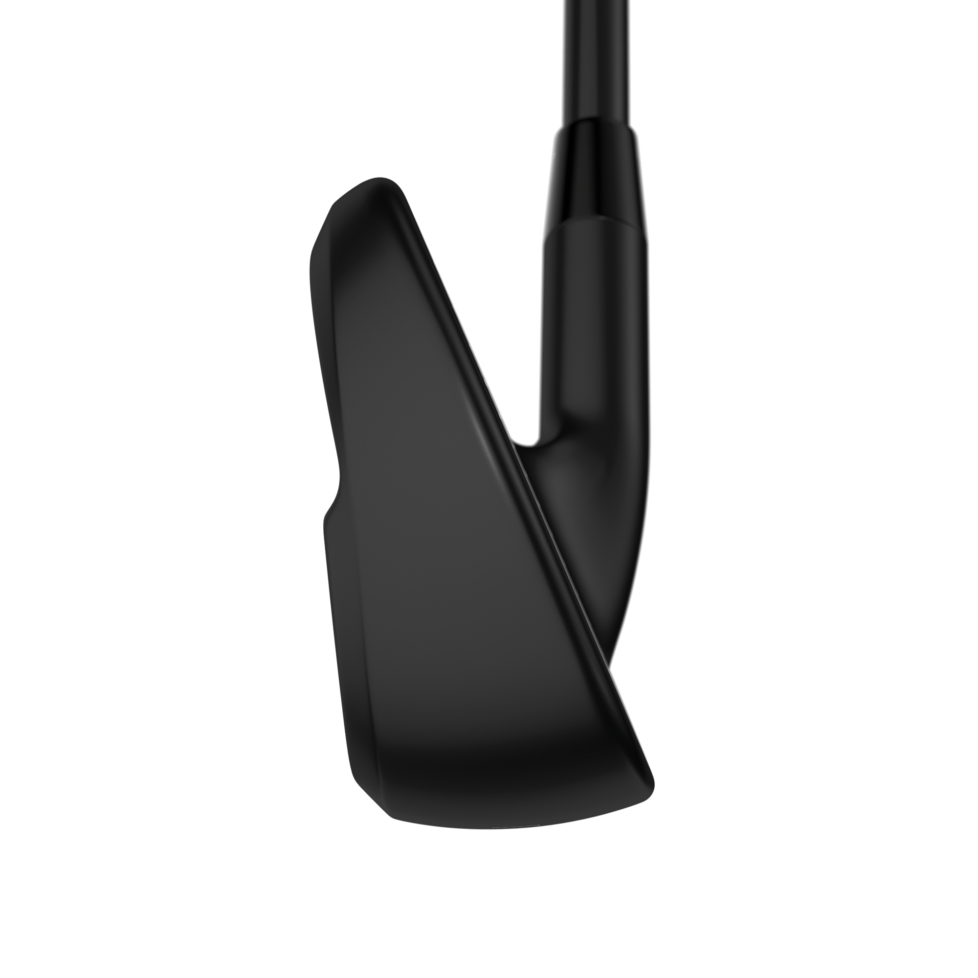 Apex Ai300 Black Shadow Irons image 6