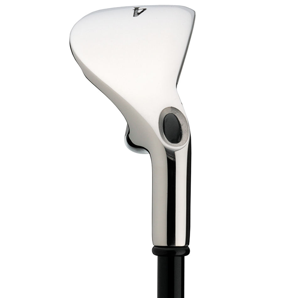 Big Bertha Irons (2008) image 3