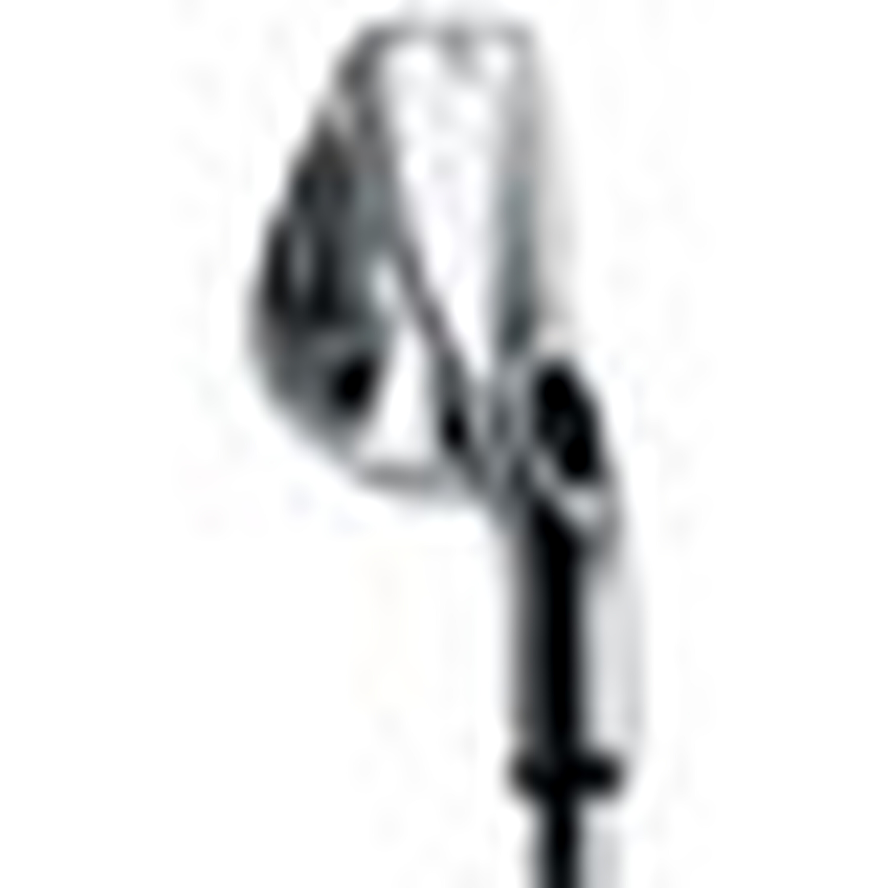 Fusion Irons image 18